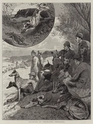 Caza en Cleveland, Yorkshire